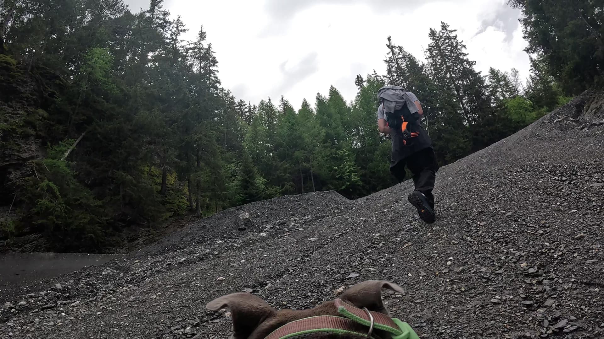 Max marche sur un chemin de montagne en Suisse, suivi par son chien