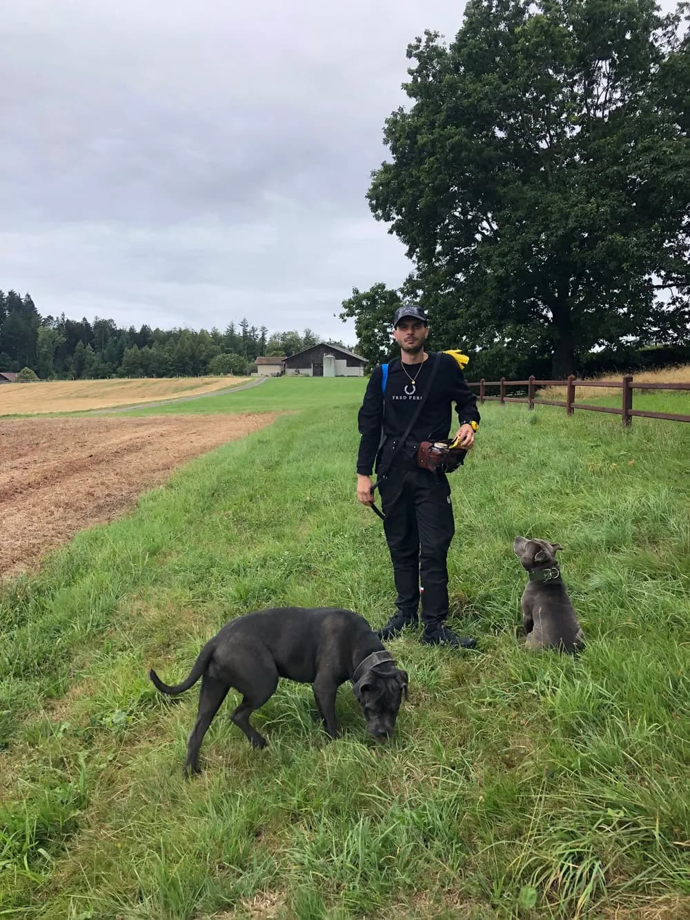 Max, instructeur canin, en séance d'éducation dans un champ avec deux chiens de type staffordshire, dont l'un assis et attentif à ses côtés